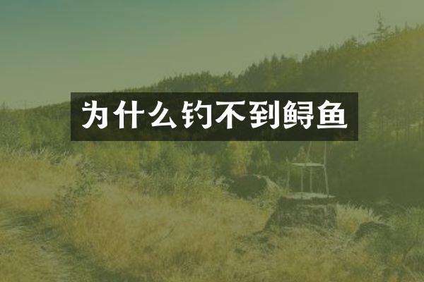 为什么钓不到鲟鱼