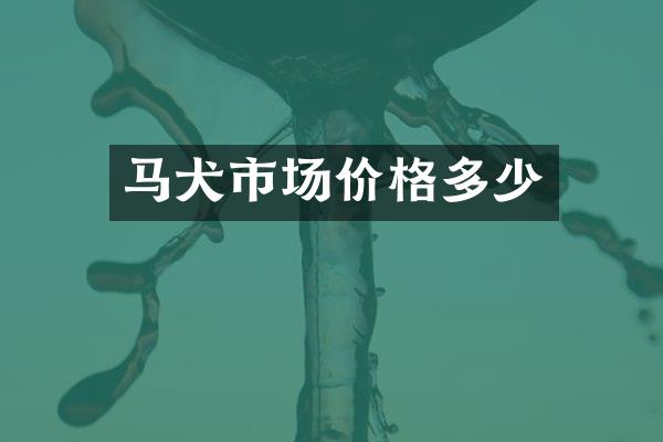 马犬市场价格多少