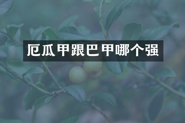 厄瓜甲跟巴甲哪个强