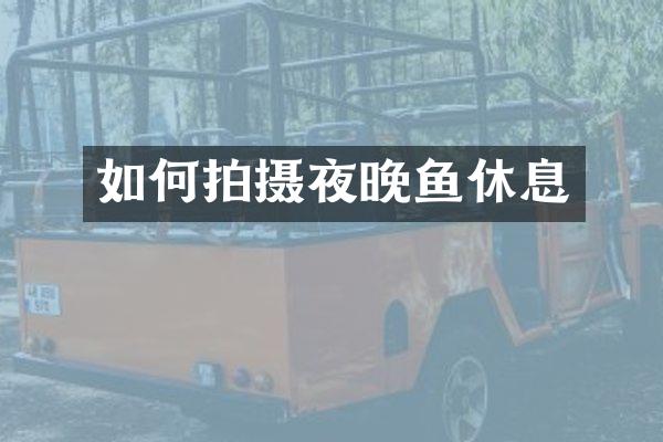 如何拍摄夜晚鱼休息