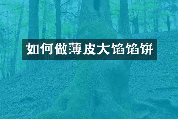 如何做薄皮大馅馅饼