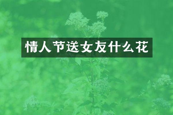 情人节送女友什么花