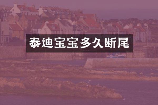 泰迪宝宝多久断尾