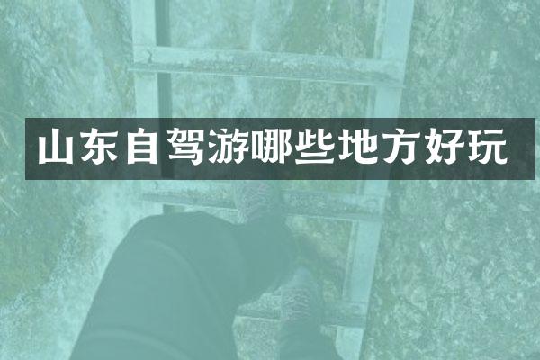 山东自驾游哪些地方好玩