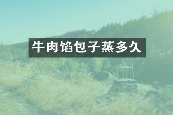 牛肉馅包子蒸多久