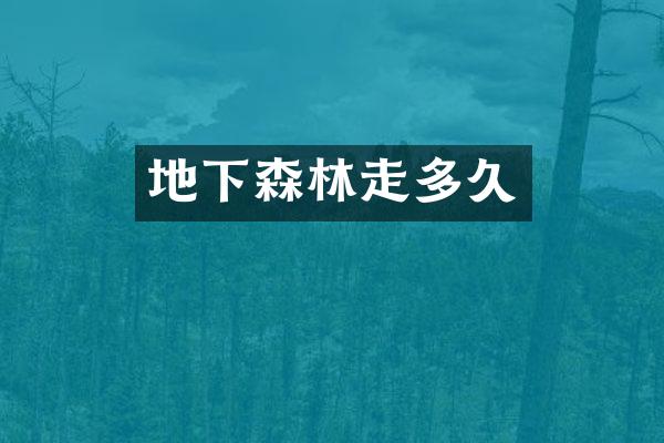 地下森林走多久