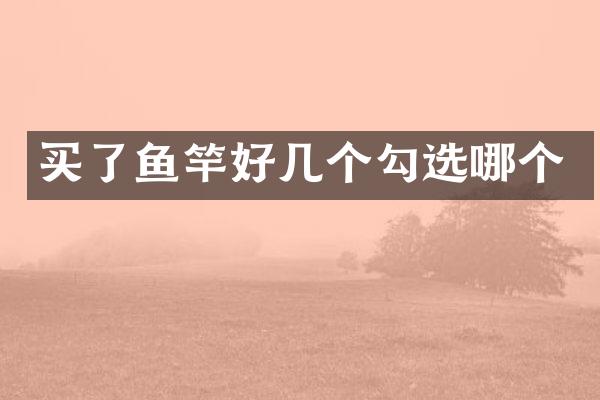 买了鱼竿好几个勾选哪个