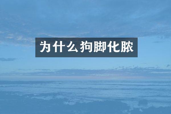 为什么狗脚化脓