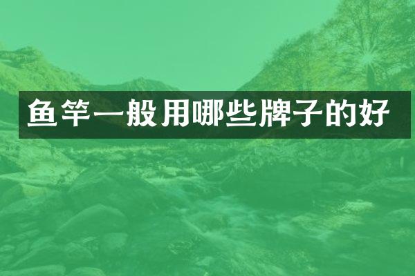 鱼竿一般用哪些牌子的好