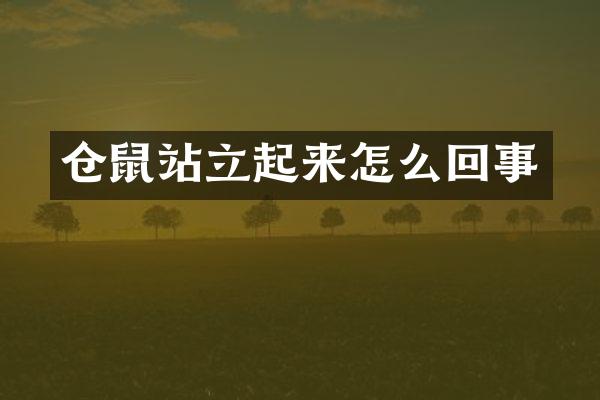 仓鼠站立起来怎么回事