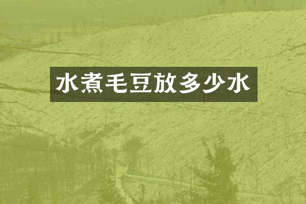 水煮毛豆放多少水