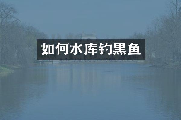 如何水库钓黑鱼