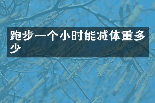 跑步一个小时能减体重多少