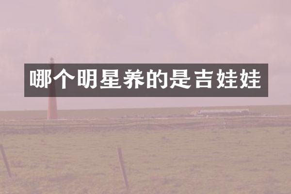 哪个明星养的是吉娃娃