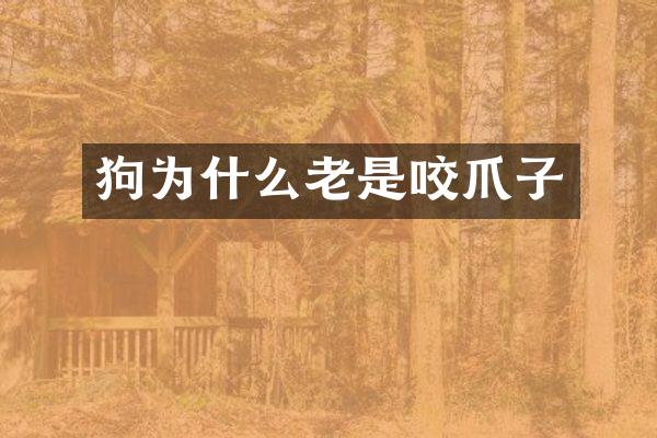 狗为什么老是咬爪子