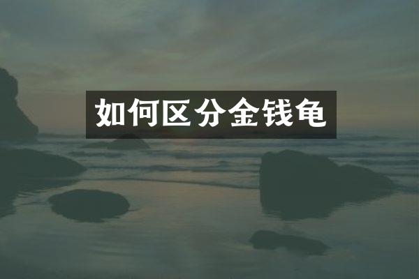 如何区分金钱龟