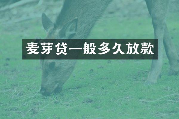 麦芽贷一般多久放款