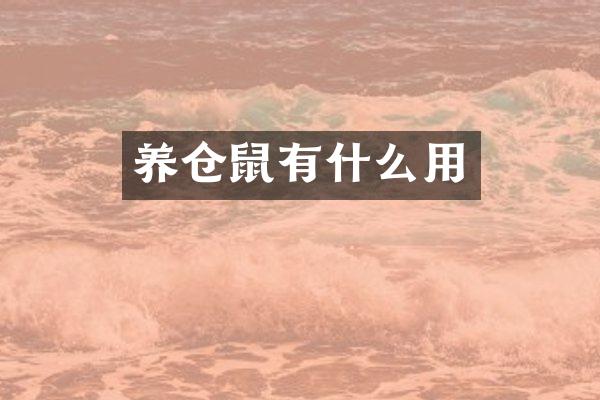 养仓鼠有什么用