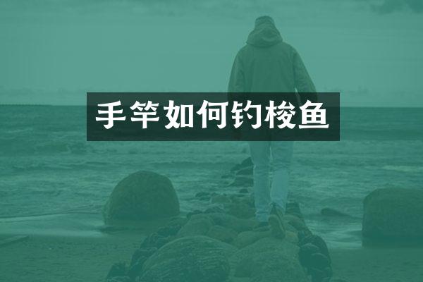 手竿如何钓梭鱼