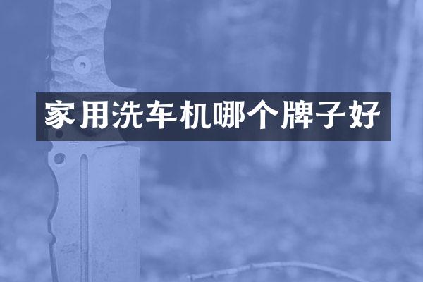 家用洗车机哪个牌子好