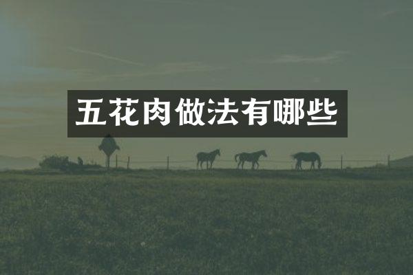五花肉做法有哪些