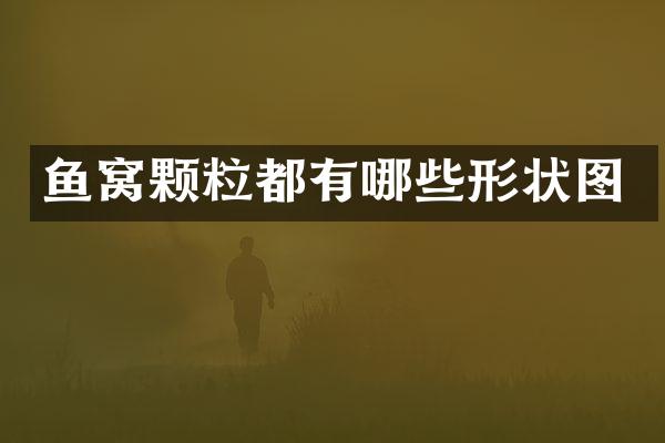 鱼窝颗粒都有哪些形状图