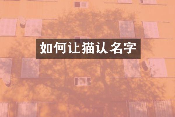 如何让猫认名字
