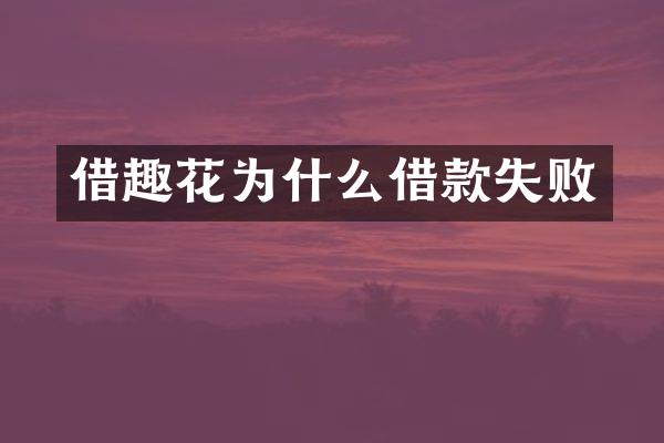 借趣花为什么借款失败