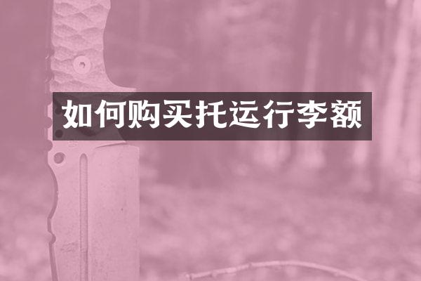 如何购买托运行李额