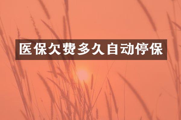 医保欠费多久自动停保
