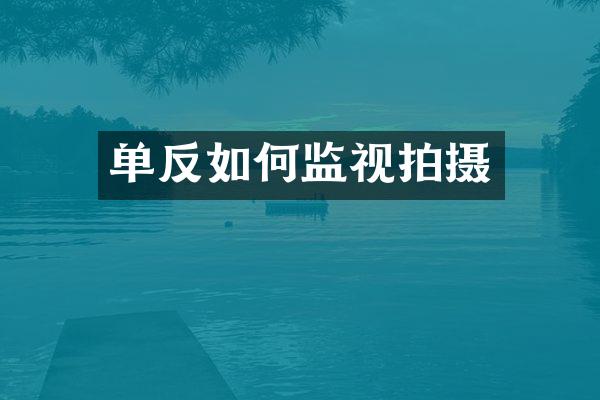 单反如何监视拍摄