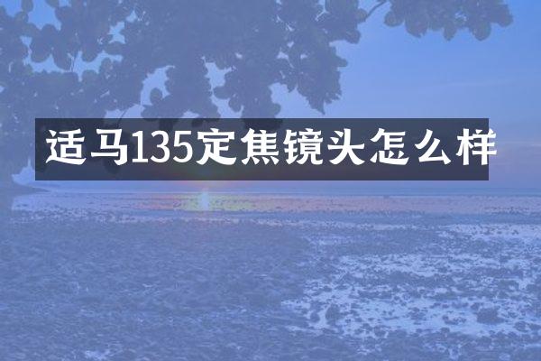 适马135定焦镜头怎么样