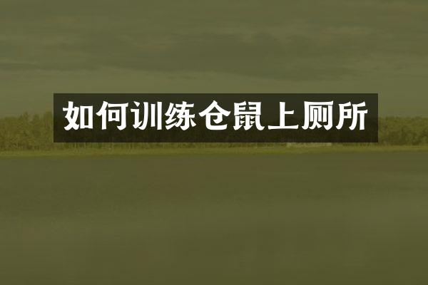 如何训练仓鼠上厕所