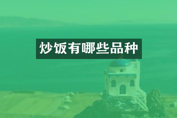 炒饭有哪些品种