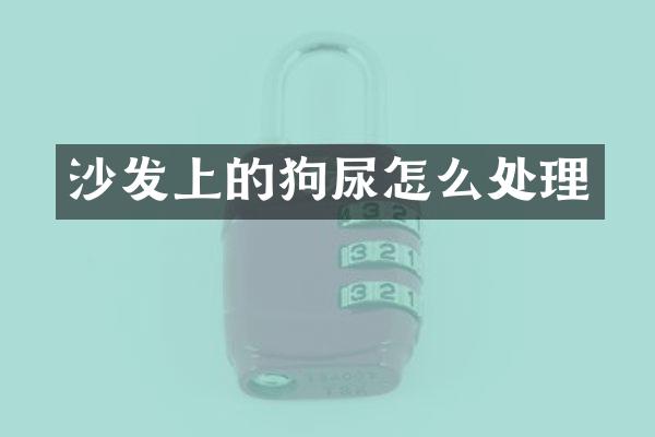 沙发上的狗尿怎么处理