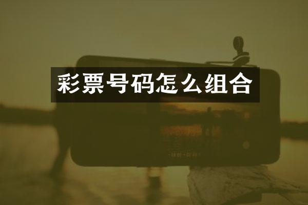彩票号码怎么组合