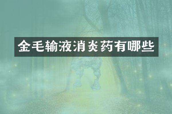 金毛输液消炎药有哪些