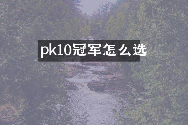 pk10冠军怎么选
