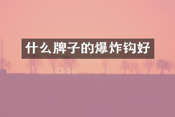 什么牌子的爆炸钩好