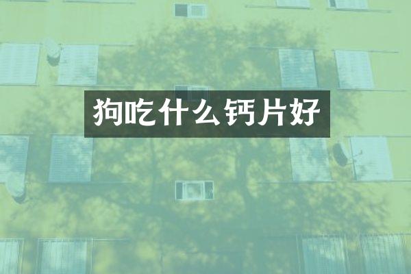狗吃什么钙片好