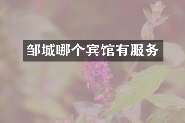邹城哪个宾馆有服务