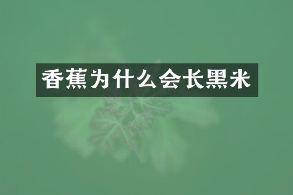 香蕉为什么会长黑米