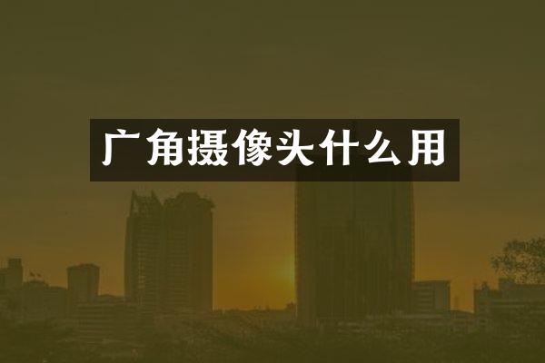 广角摄像头什么用