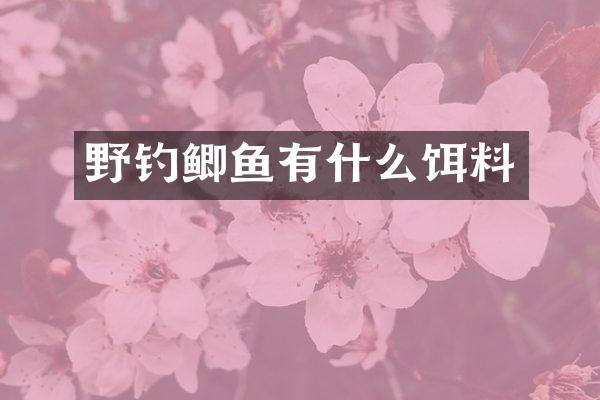 野钓鲫鱼有什么饵料