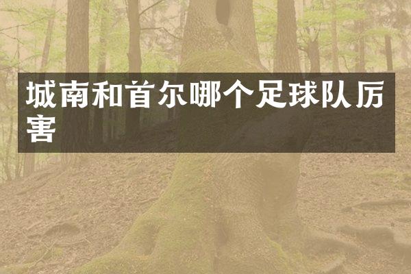 城南和首尔哪个足球队厉害