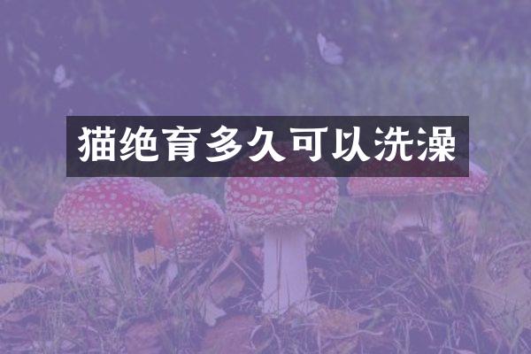 猫绝育多久可以洗澡