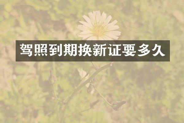 驾照到期换新证要多久