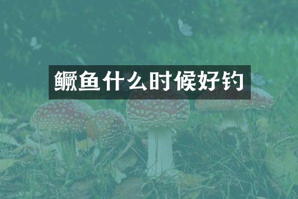 鳜鱼什么时候好钓