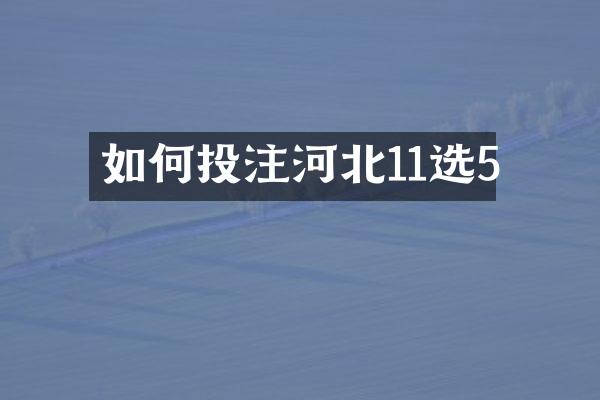 如何投注河北11选5