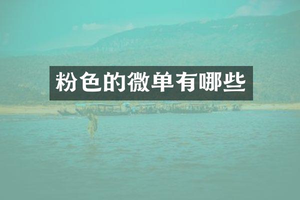 粉色的微单有哪些